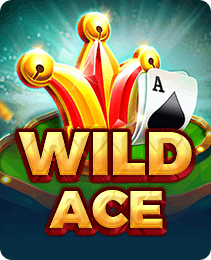 Wild Ace on Y1 Game — RTP 96.4%, Medium volatility